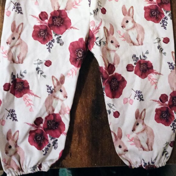 Bunny print overalls - size 12months - Picture 4 of 4